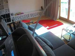 voyeurcam-julmodels-living-4's CamSoda show and profile