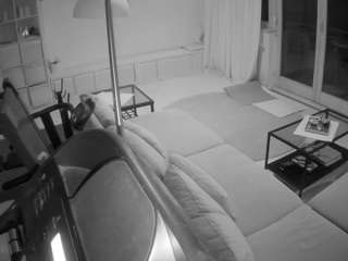 voyeurcam-julmodels-living-4's CamSoda show and profile