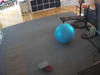 Live stream of voyeurcam-julmodels-living-5