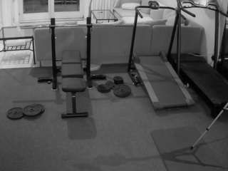  live cam
