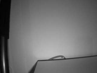 voyeurcam-julmodels-living-6 live cam profile