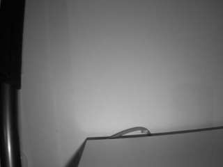 voyeurcam-julmodels-living-6 live cam profile