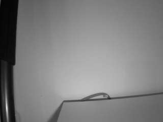 voyeurcam-julmodels-living-6 live cam profile
