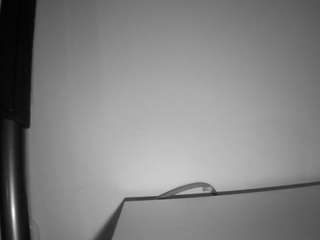 voyeurcam-julmodels-living-6