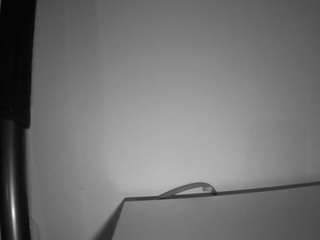 voyeurcam-julmodels-living-6