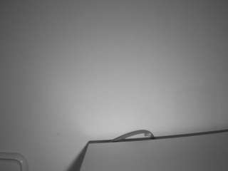 voyeurcam-julmodels-living-6