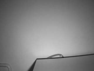 voyeurcam-julmodels-living-6 live cam profile