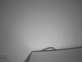 voyeurcam-julmodels-living-6