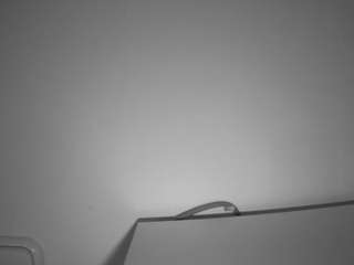 voyeurcam-julmodels-living-6