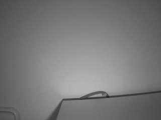 voyeurcam-julmodels-living-6