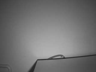 voyeurcam-julmodels-living-6