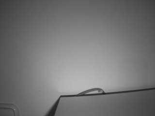 voyeurcam-julmodels-living-6