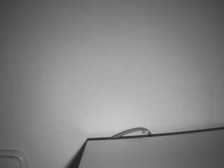 voyeurcam-julmodels-living-6