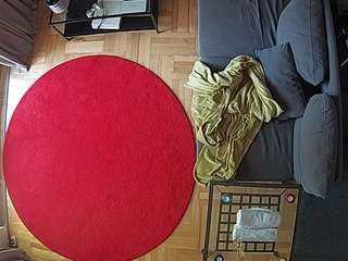 voyeurcam-julmodels-living-7