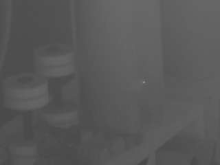 voyeurcam-julmodels-living-7