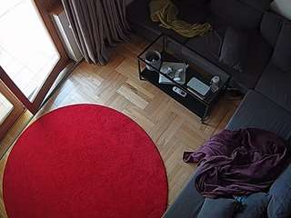 voyeurcam-julmod... Live Webcam on CamSoda