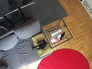 voyeurcam-julmodels-living-7