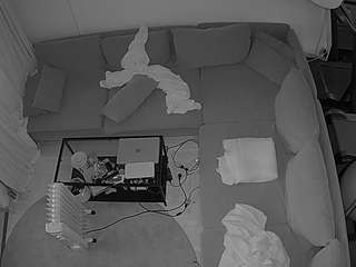 voyeurcam-julmodels-living-7