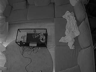 voyeurcam-julmod... Live Webcam on CamSoda