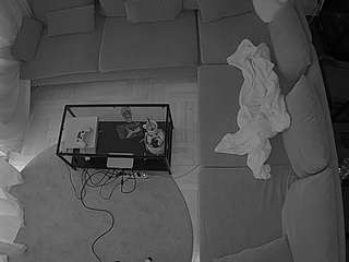 voyeurcam-julmodels-living-7