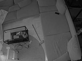 voyeurcam-julmodels-living-7 Profile Image