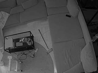 voyeurcam-julmodels-living-7