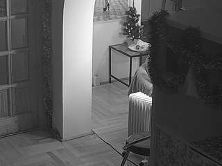 voyeurcam-julmodels-living-7