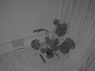 voyeurcam-julmodels-living-7 webcam