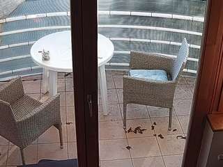 voyeurcam-julmodels-living-7