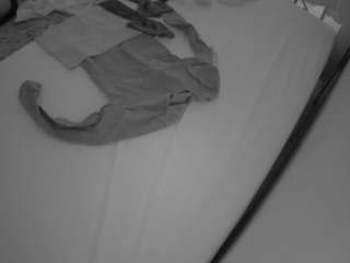 voyeurcam-julmodels-whitebed-1