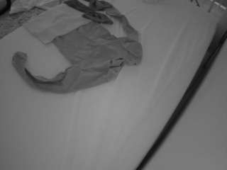 voyeurcam-julmodels-whitebed-1