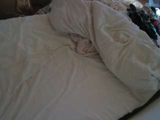 Julmodels Bedroom-C1