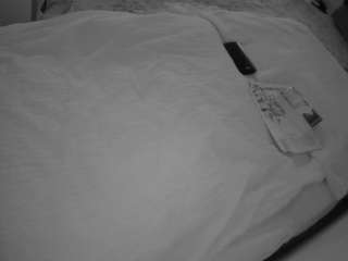 voyeurcam-julmodels-whitebed-1's CamSoda show and profile