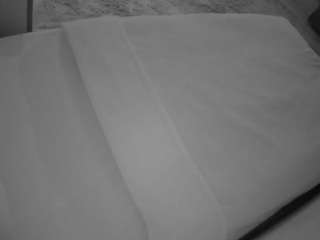 voyeurcam-julmodels-whitebed-1