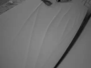 Julmodels Bedroom-C1's Live Sex Cam Show