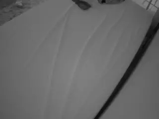 Julmodels Bedroom-C1's Live Sex Cam Show