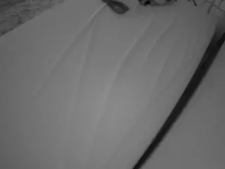 Julmodels Bedroom-C1's Live Sex Cam Show