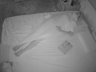 voyeurcam-julmod... Live Webcam on CamSoda