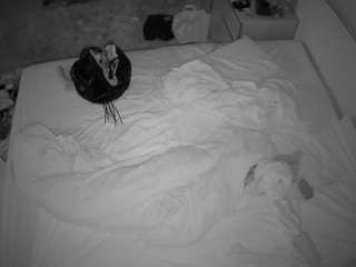 Hd, Voyeur, Thong, Julmodels house, Flashing, Classy, Body massage, Bedroom..., ass 13
