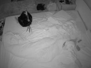 voyeurcam-julmod... Live Webcam on CamSoda