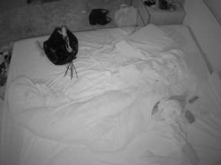 voyeurcam-julmod... Live Webcam on CamSoda