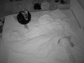 voyeurcam-julmod... Live Webcam on CamSoda
