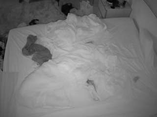 voyeurcam-julmod... Live Webcam on CamSoda