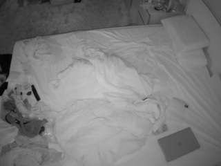 voyeurcam-julmod... Live Webcam on CamSoda