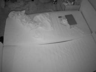 Julmodels Bedroom-C3