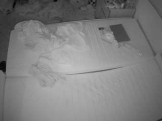 Julmodels Bedroom-C3