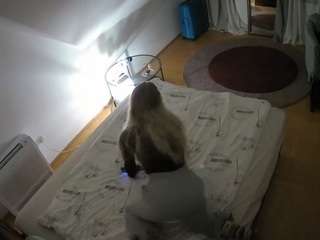 voyeurcam-julmod... Live Webcam on CamSoda