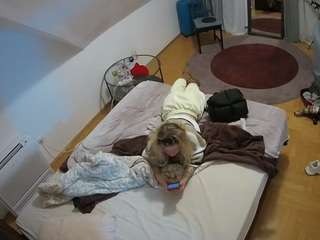 Julmodels Bedroom-A3