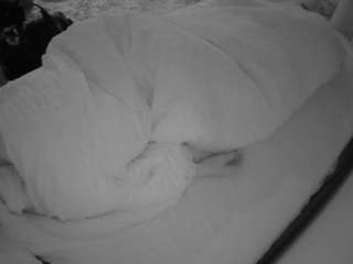 Julmodels Bedroom-A3