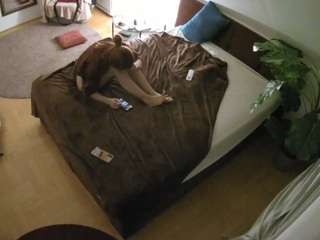 hd  voyeur  sexwebcam...